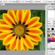 Artweaver Plus 7.0.13.15544 (Repack &amp; Portable)