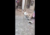 video_109788586