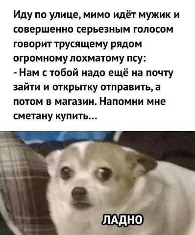 file_100128631