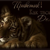 Приветик!Как твои дела