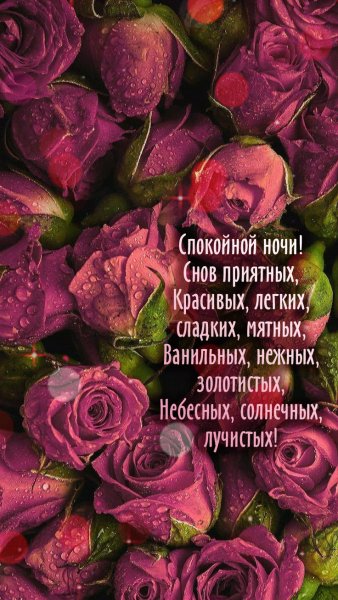 Доброй ночи