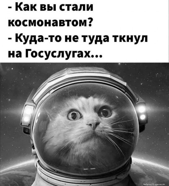 IUuNAtD9Pak-