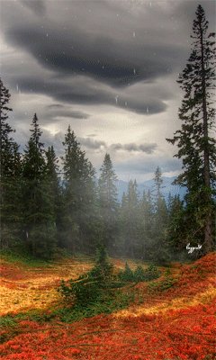 file_52620447