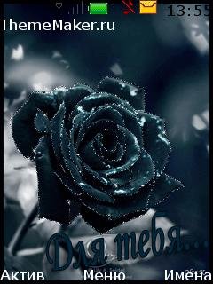 theme (2)