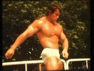 Arnold-Schwarzennegger-11