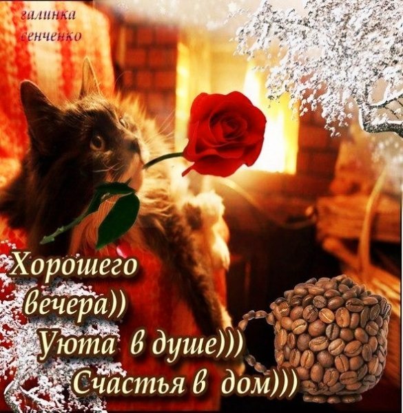 IMG 20181122 170454