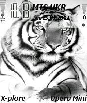 Tigr171