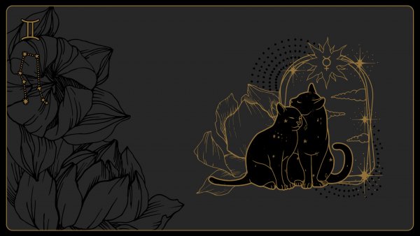 GEMINI