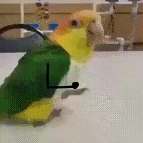 gif2887