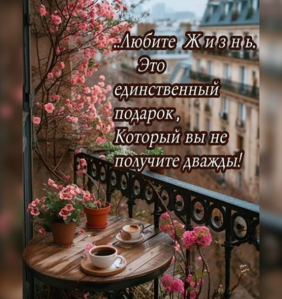 file_98277281