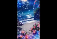 video_109511555