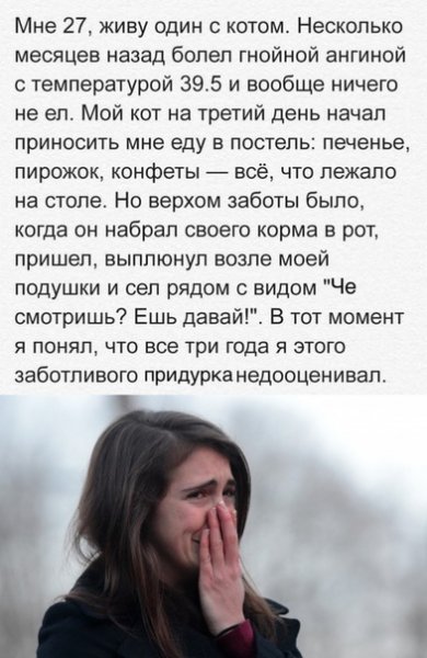 file_75245379