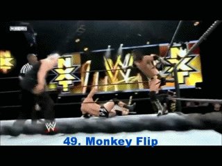 Monkey Flip