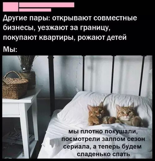 file_102694155