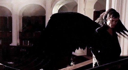 tumblr ndrej0vxoN1tfsfn5o1 500