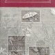 Том III Пресмыкающиеся. Земноводные. Рыб