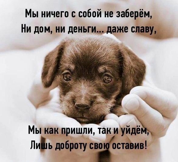 Gx4nBo3eWhx67hXN