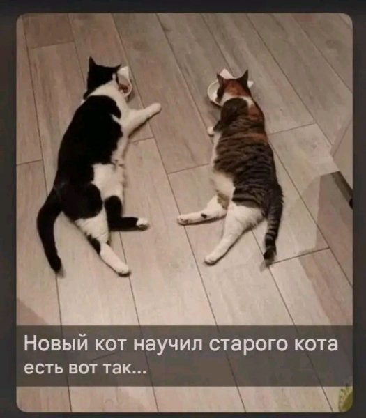 file_103551713