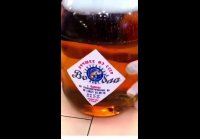 video_76134093