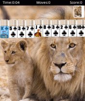 9 в 1 Solitaire 240x320