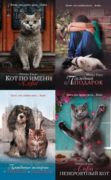 Подарок от Боба