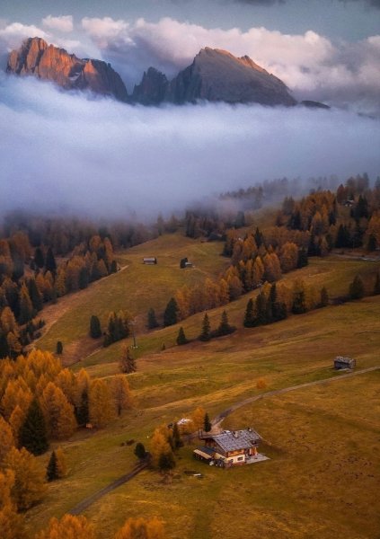 file_103543438