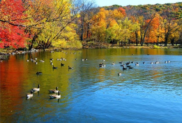autumn 12