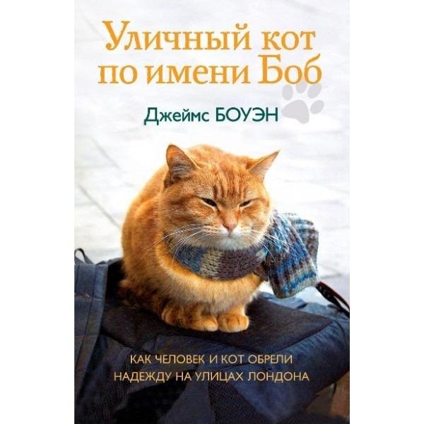 Боуэн Джеймс - Уличный кот по имени Боб