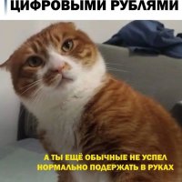 file_103518128