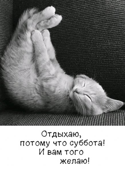 file_103526573