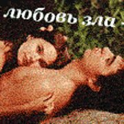 avatarka-559