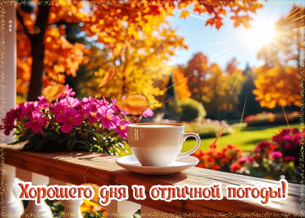 file_100797568
