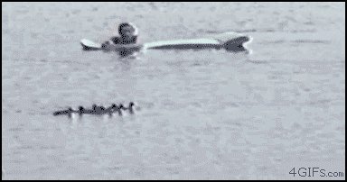 дошутился