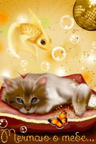 file_76291670