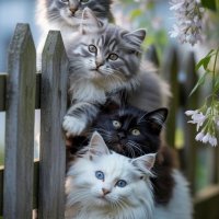 file_100829666
