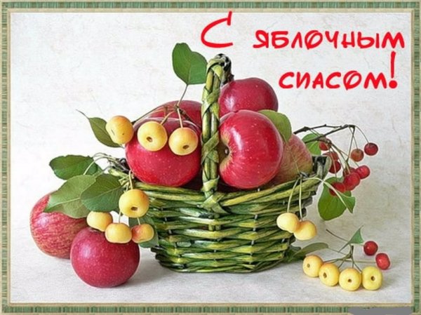 Со Спасом! 5с
