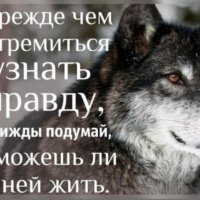 Мы любим ложь