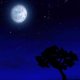 Night
