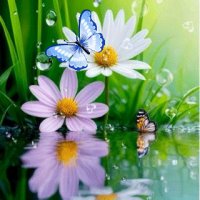 file_96041039