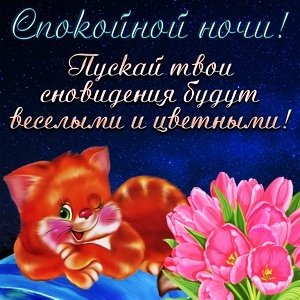 IMG 20181119 172144