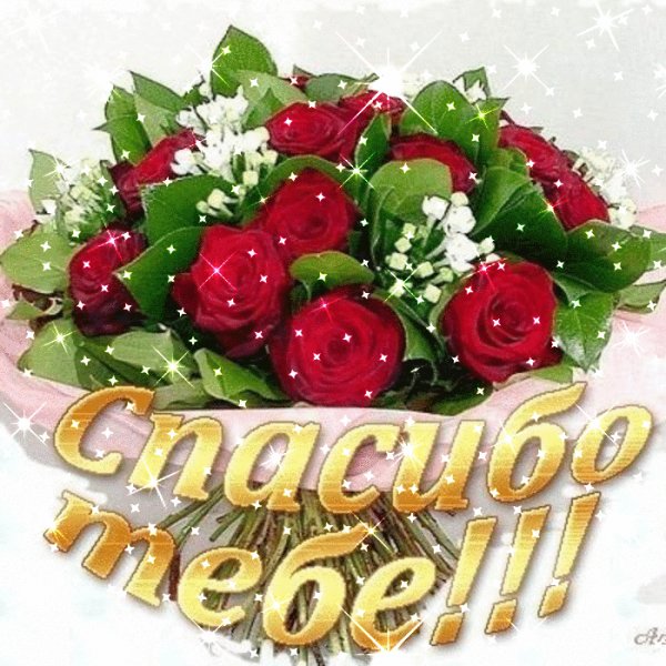 IMG 20180619 122757