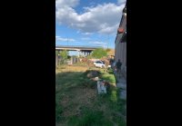 Какое государство, такая и полиция