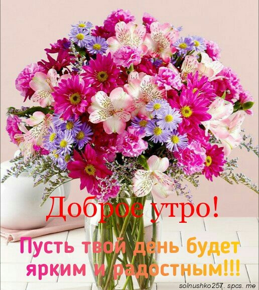 IMG 20180806 172912
