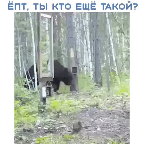 IMG 20220905 121503