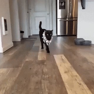 gif-28062019-013