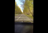 Золотая осень