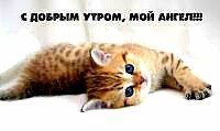 IMG 20180910 073142 680