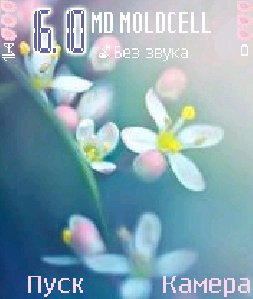 firstbloom vjkqy4n8