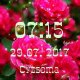 Волшебство роз