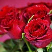 Img (32)